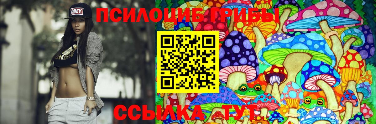 Галлюциногенные грибы GOLDEN TEACHER  Псилоцибиновые грибы MAGIC MUSHROOMS  Вход с VPN  Феодосия 